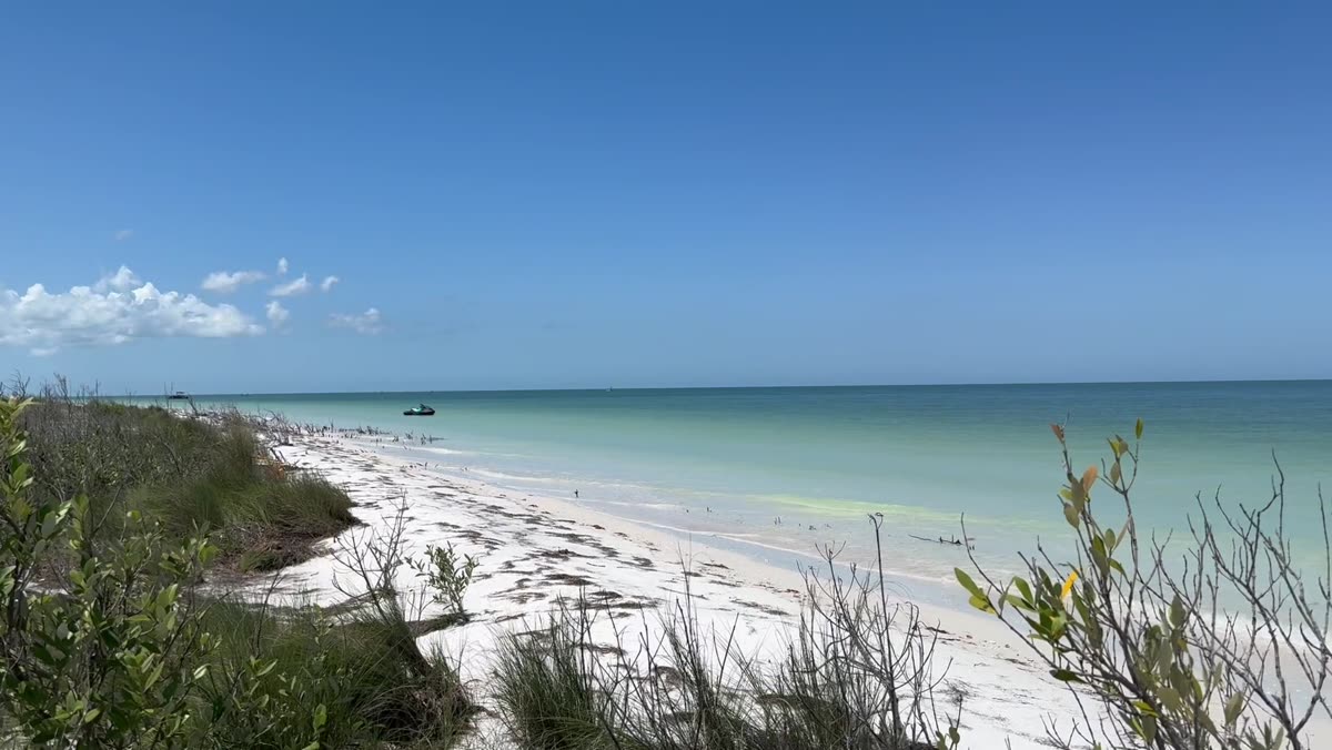 Guests riding with Clearwater Beach Jet Ski Tours
